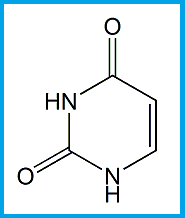 FLUOROURACIL EP IMPURITY C / FLUOROURACIL BP IMPURITY C / URACIL